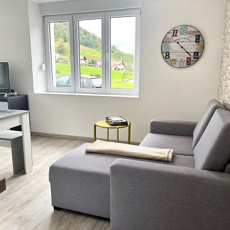 Cocon Lumineux Pres Des Pistes Daire La Bresse Dış mekan fotoğraf