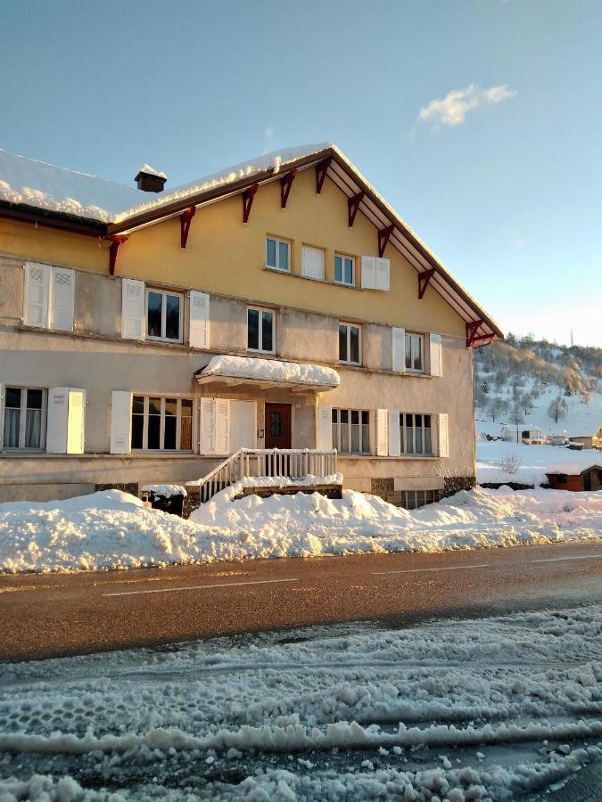 Cocon Lumineux Pres Des Pistes Daire La Bresse Dış mekan fotoğraf