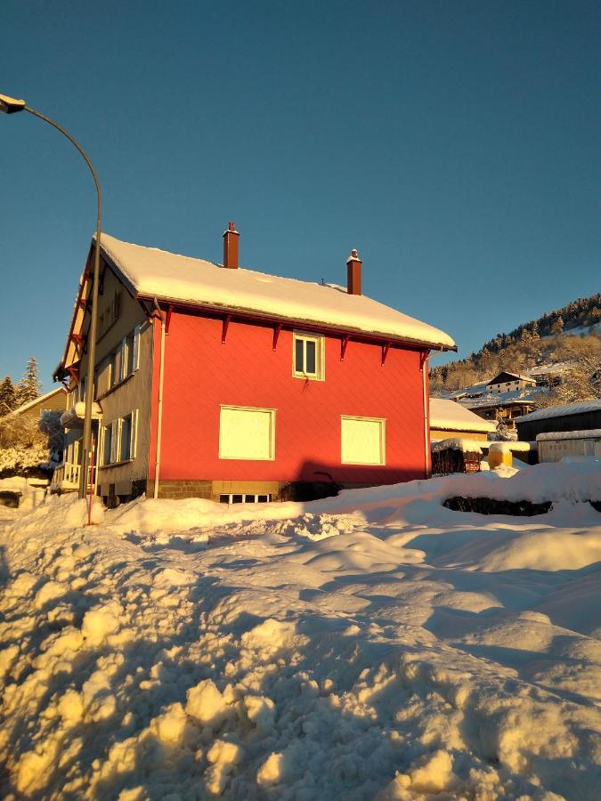 Cocon Lumineux Pres Des Pistes Daire La Bresse Dış mekan fotoğraf